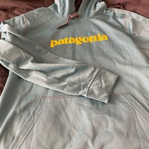 Mens Pullover Patagonia Hoodie